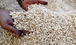 Hama'da "Yatak" operasyonu: Suudi Arabistan'a gidecek 26 bin hap yakalandı