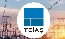 TEİAŞ açıkladı: Elektrik tüketimi akşam 18.00'de tavan yaptı!