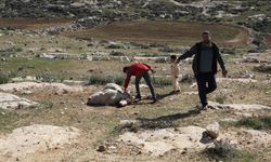 Gasıp İsrailliler çiftlik bastı: 150 koyun çalındı