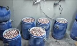 Zehir tacirlerine tarihi darbe: 7 milyon hap yakalandı