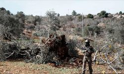 Batı Şeria’da tarıma ağır darbe! Bir haftada 3 binden fazla ağaç zarar gördü