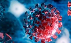 Türkiye'de yeni salgın kapıda! Mutasyona uğrayan virüs hızla yayılıyor
