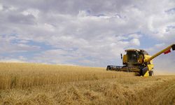 Üretememenin önündeki en büyük engel: Tarımsal girdiler yüzde 33,66 arttı