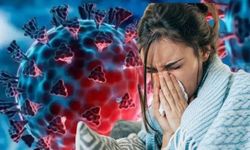 Yeni varyantı Türkiye için risk oluşturuyor mu, H3N2 virüsü nedir?