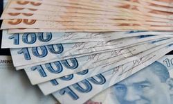 Milyonlarca kişi alabilecek: E-Devlet'ten başvuranlar tek şartla bu ödemeyi alıyor