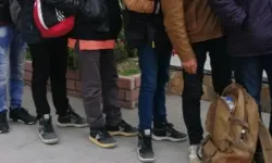 Yol geçen hanı olduk! Edirne ve Kırklareli'nde 12 düzensiz göçmen yakalandı
