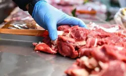 Diyarbakır'da 'kavurma' diye at ve eşek eti yedirdiler! Bakanlık firmayı ifşa etti