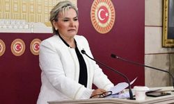 CHP'nin TBMM'deki sandalyesi 137'ye düştü: Nimet Özdemir istifa etti