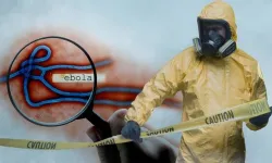 Dünyayı korkutan rapor: Ebola salgınında vaka sayısı 20 bini aşabilir!