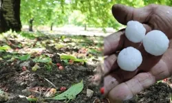 Bursa Keles’te afet: Dolu yağışı çiftçinin alın terini vurdu!