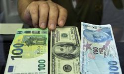 Bu kez Türk bankası açıkladı: Dolar ileride ne kadar yükselecek?