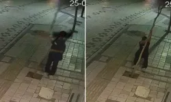 Hakkında soruşturma başlatıldı: Kaldırımdaki ağacı kıran çocuğun başı derde girdi!