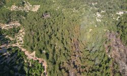 Kaş ilçesinde ormanlık alanda çıkan yangın kontrol altına alındı