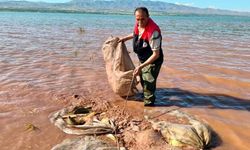 Keban Baraj Gölü'nde kaçak avcılara darbe: 700 kilo balık kurtarıldı!