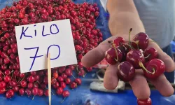 Kirazda yüzler gülüyor: Fiyatlar 70 liraya kadar geriledi!