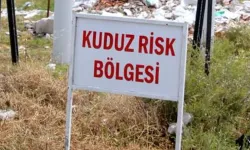 Van'da kuduz kabusu! 7 mahalle birden karantinaya alındı