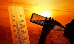 Havalar ısınınca uyarı geldi: Bu belirtiyi görenler dikkat