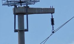 Şırnak'ta leyleklerin akıma kapılmaması için direklere 13 özel platform kuruldu
