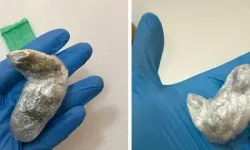 Ünlülere uyuşturucu şoku: 9 tutuklama geldi