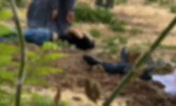 Mezarlıkta kanlı pusu: AK Partili yönetici ve ailesi öldürüldü