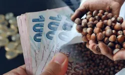 2026 fındık yevmiyeleri belli oldu! Ordu’da fındık işçisi ücreti ne kadar?