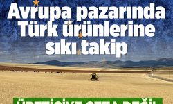 AB'den Türk tarımına yeni denetim hamlesi! Avrupa pazarında Türk ürünlerine sıkı takip “Üreticiye ceza değil destek gerekiyor”