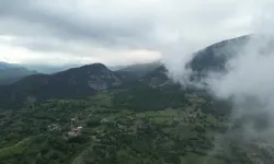 Amasya'da ormanlara giriş yasaklandı: Ağır cezası var