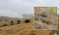 Ankara'da feci ölüm! Hayvanlarını otlatırken yıldırım düştü