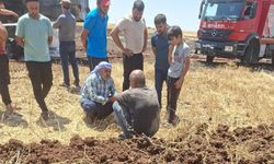 Biçerdöver kül oldu, kardeşlik umut oldu