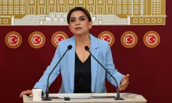İmralı'ya Çerçeve Yasa gidiyor: Gözler bu haftaki görüşmelerde