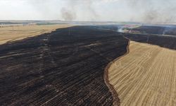Diyarbakır'da çıkan anız yangını kontrol altına alındı