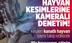 Herkesin olmasını beklediği adım, nihayet… Hayvan kesimlerine kameralı denetim! Kesilen kanatlı hayvan sayısı takip edilecek