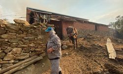 Aydın'da zeytinlik ve otluk alanda çıkan yangın kontrol altına alındı
