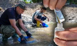 Derelerden altın fışkırıyor: 30 kişilik ekip günde 20 gram buluyor