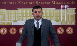 CHP'li Veli Ağbaba'nın yeğeni hakkında gözaltı kararı