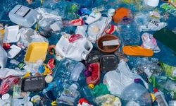 Plastik malzemeler insan sağlığına zararlı mı? Hangi ülke bu alanda ‘Yasak’ getirdi?  Yasak kararı hem fiziki mağazalarda hem de internet satışlarında
