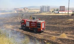 Sivas'ta 80 dönüm ekili arazi yandı