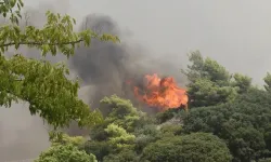 Yunanistan'ın Arta ilinde orman yangını çıktı