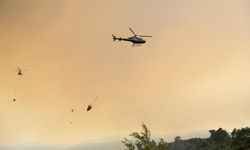 AFAD'dan 9 ildeki orman yangınlarına ilişkin açıklama
