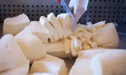 Sakın yemeyin! Zincir marketlerde satılan beyaz peynirinde ölümcül bakteri tespit edildi