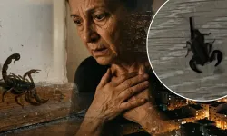 İstanbul'da çekirgelerden sonra evleri şimdi de akrepler bastı!