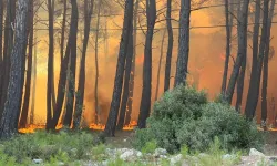 Muğla'da başlayan alevler sınırı aştı! Antalya'ya sıçradı