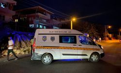 Aydın'da otomobilin çarptığı yaya yaralandı