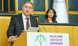 DEM Parti’den Çerçeve Yasa çağrısı: Ağustos ayında yasa çıkarılmalı