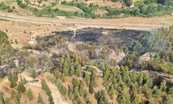 Denizli'de alevlerle zorlu savaş: Kontrol altına alındı