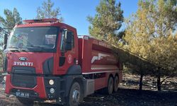 Gaziantep'te çıkan orman yangını kontrol altına alındı