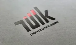 TÜİK'ten internet raporu! Kullanımda cinsiyet farkı