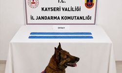 Kayseri'de zehir operasyonu: 2 bin 700 hapla yakalandı