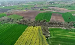 Kentsel Dönüşüm Başkanlığı 660 Arsa Müzayedesi Hangi Tarihte, Peşin Ödeme İndirimi Ne Kadar? 660 Arsa Hangi İllerde Satılacak?