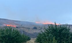 Malatya'da otluk alanda çıkan yangın söndürüldü